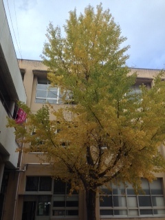 古高松小学校.JPG