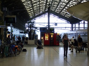 P1050325.jpg